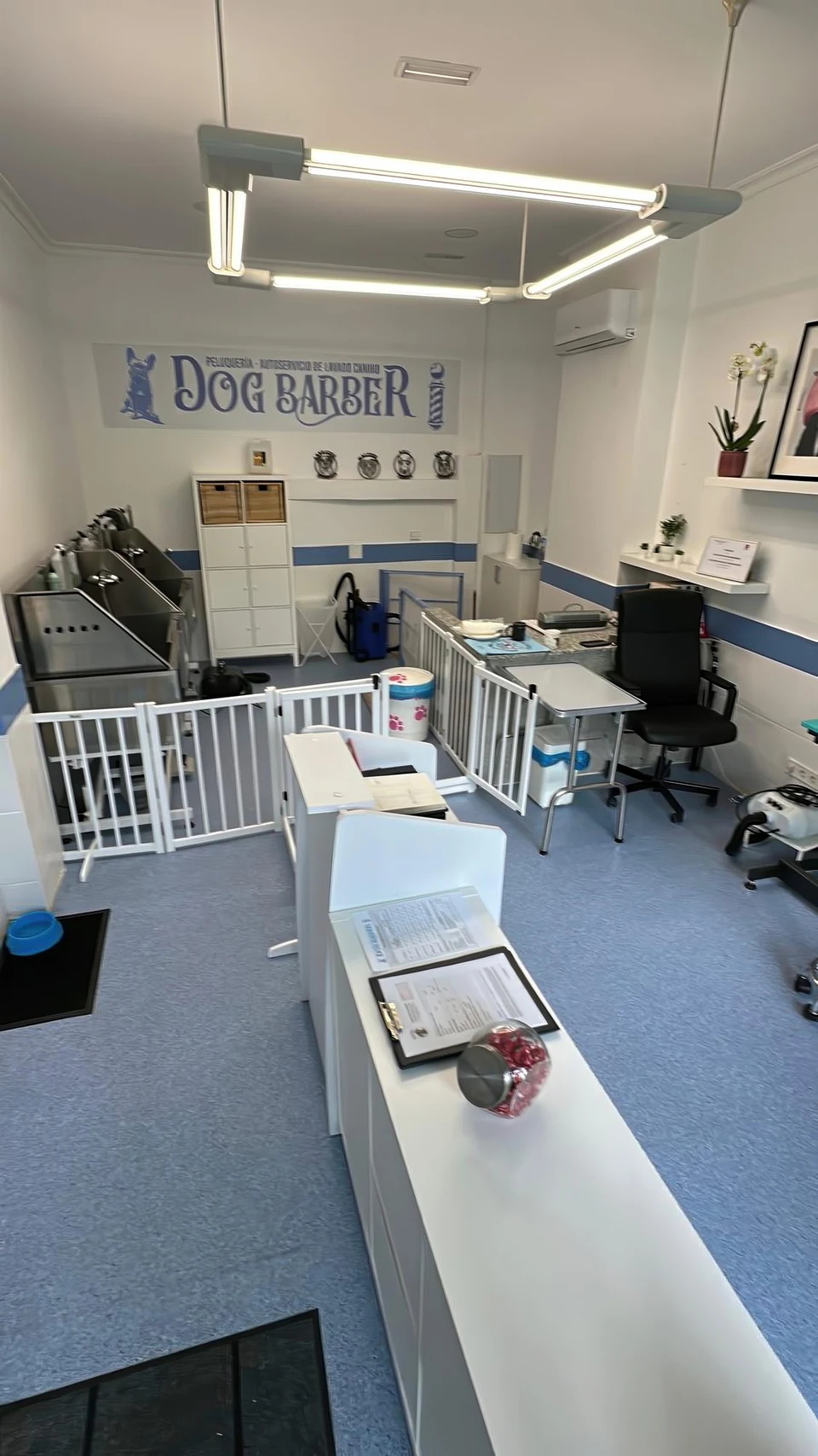 Bañeras profesionales del local de Dog Barber