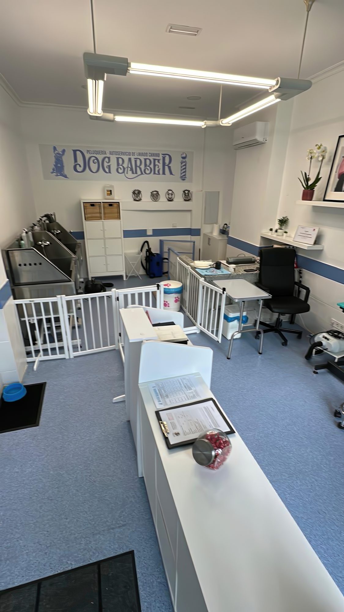 Bañeras profesionales del local de Dog Barber